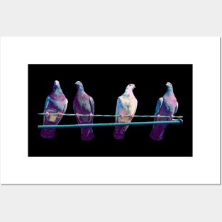 Pigeons On A Wire Posters and Art